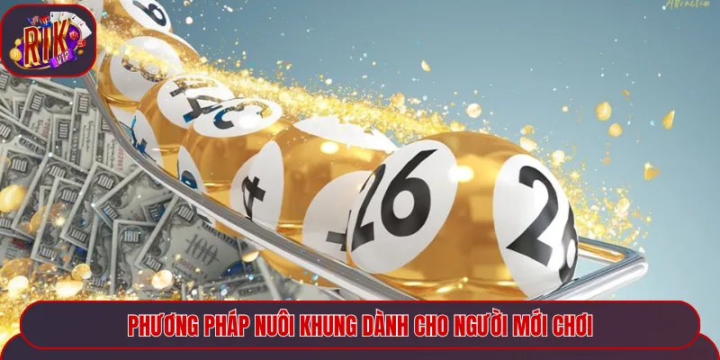 Phương pháp nuôi khung dành cho người mới chơi