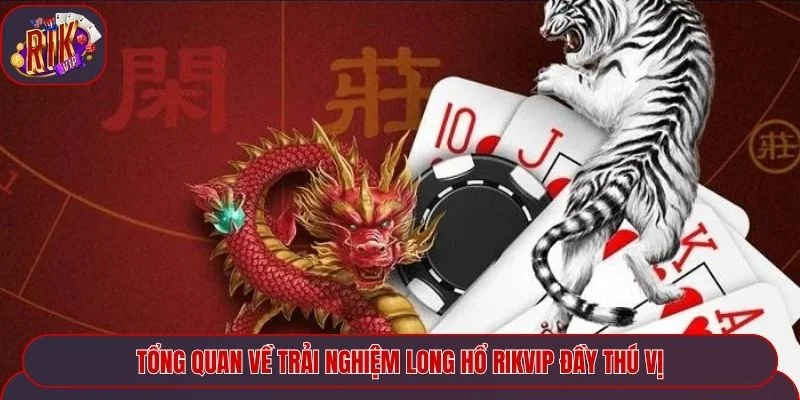 Tổng quan về trải nghiệm long hổ Rikvip đầy thú vị