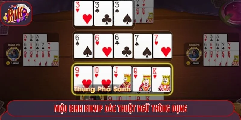 Nắm bắt các thuật ngữ thông dụng khi tham gia Mậu Binh