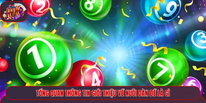 Tổng quan thông tin giới thiệu về nuôi dàn đề là gì
