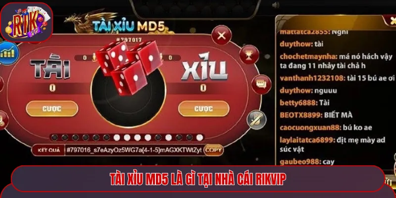 Tài xỉu MD5 là gì tại nhà cái Rikvip