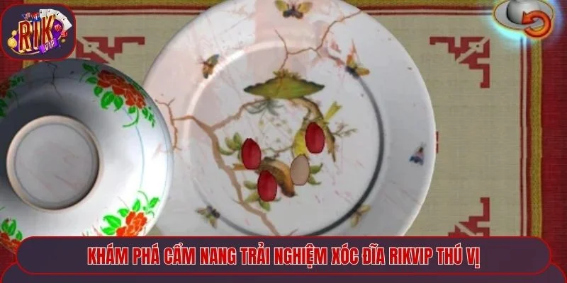 Khám phá cẩm nang trải nghiệm xóc đĩa Rikvip thú vị